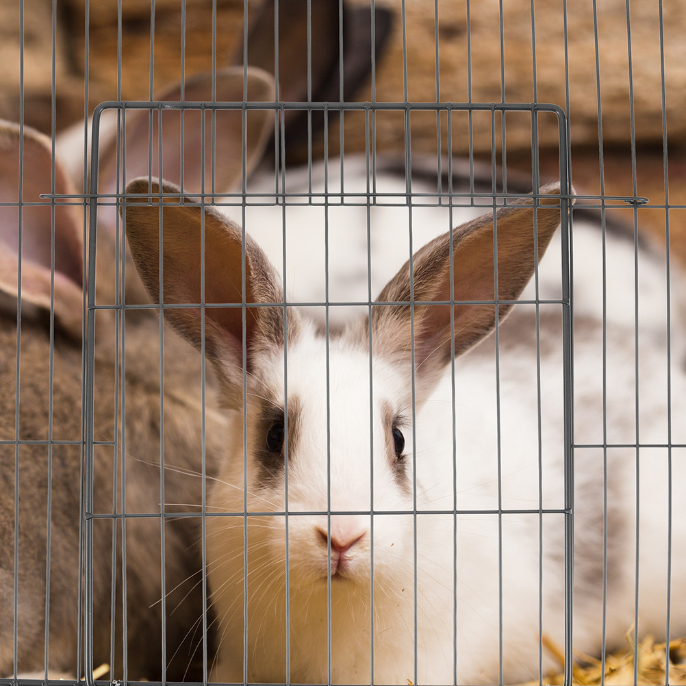Rabbit Cage Wire - 2Pcs Thickened Multipurpose Pet Fence Door