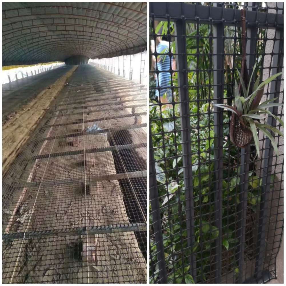 Garden Lattice Mesh Black Plas - Rabbit Cage Wire recension och pris