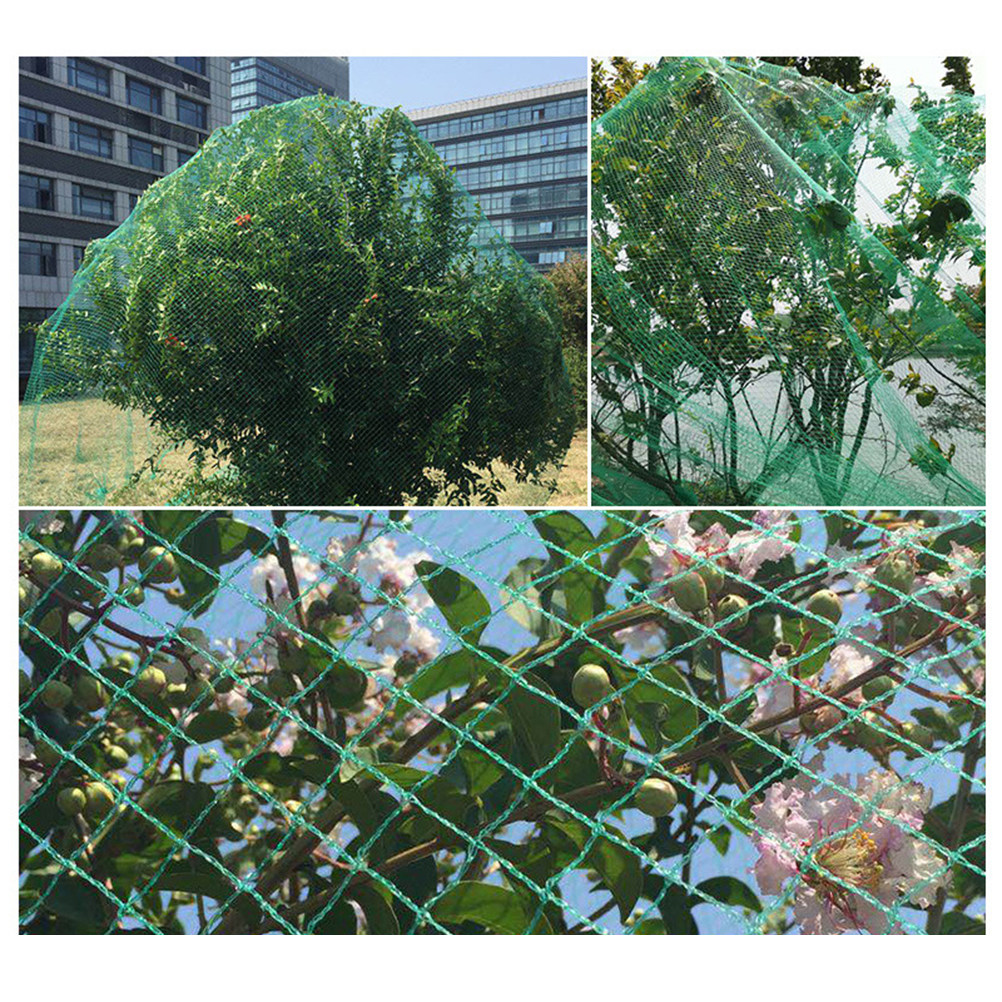 15M Anti Bird Net Green Fruit  - Agriculture Farming Vegetables recension och pris